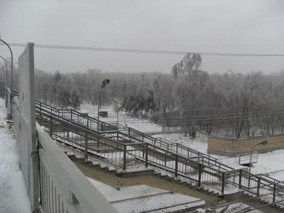 Photo from 26 December 2010