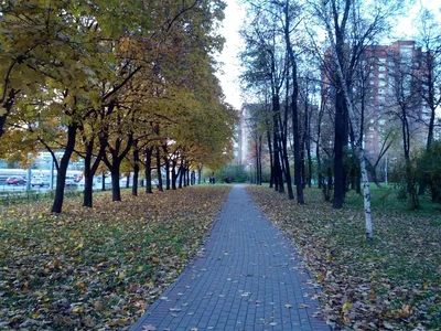 Photo from 12 October 2013