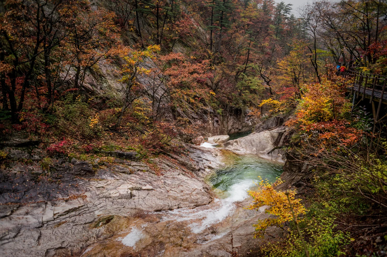 Photo from 21 October 2016