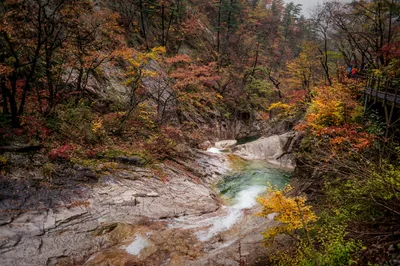 Photo from 21 October 2016
