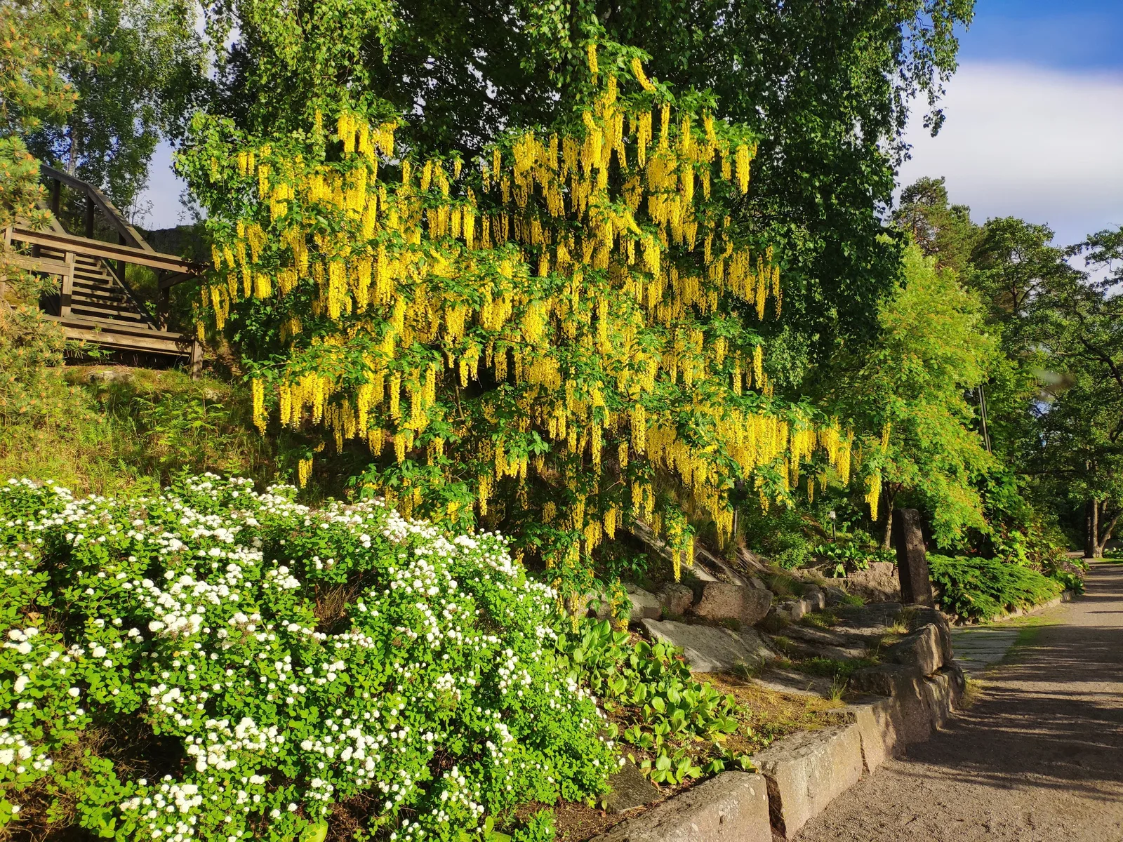 Photo from 15 June 2019