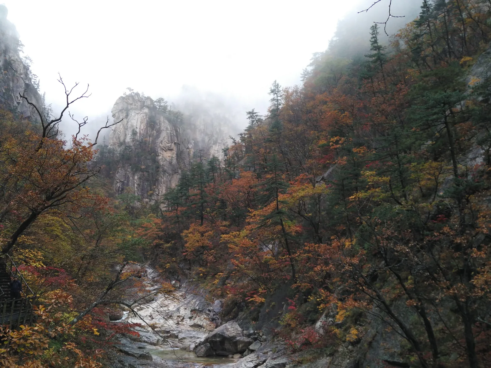 Sokcho, South Korea — 21 October 2016