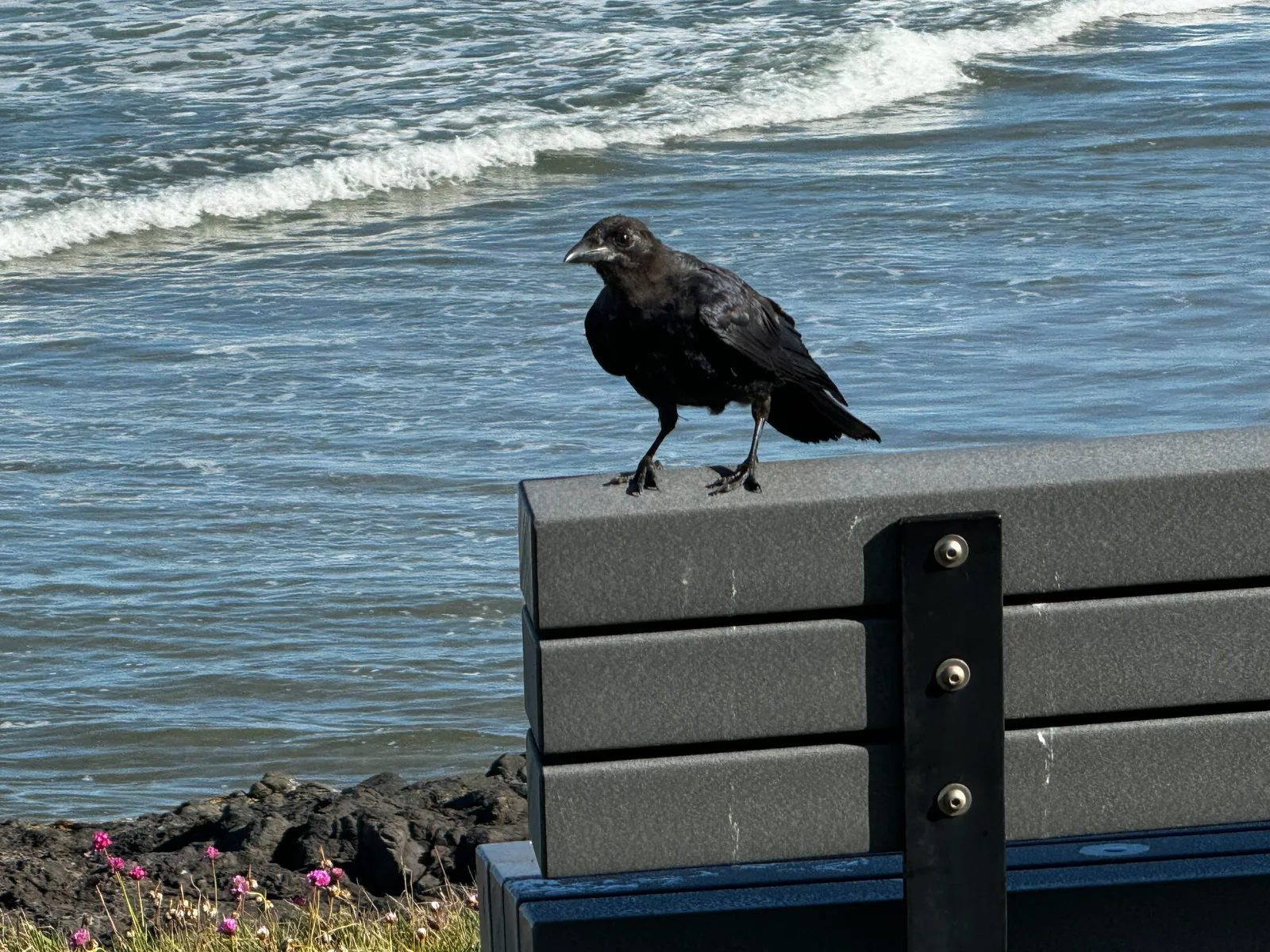 Waldport, United States — 26 August 2024