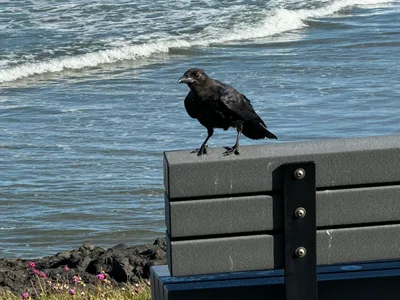 Waldport, United States — 26 August 2024