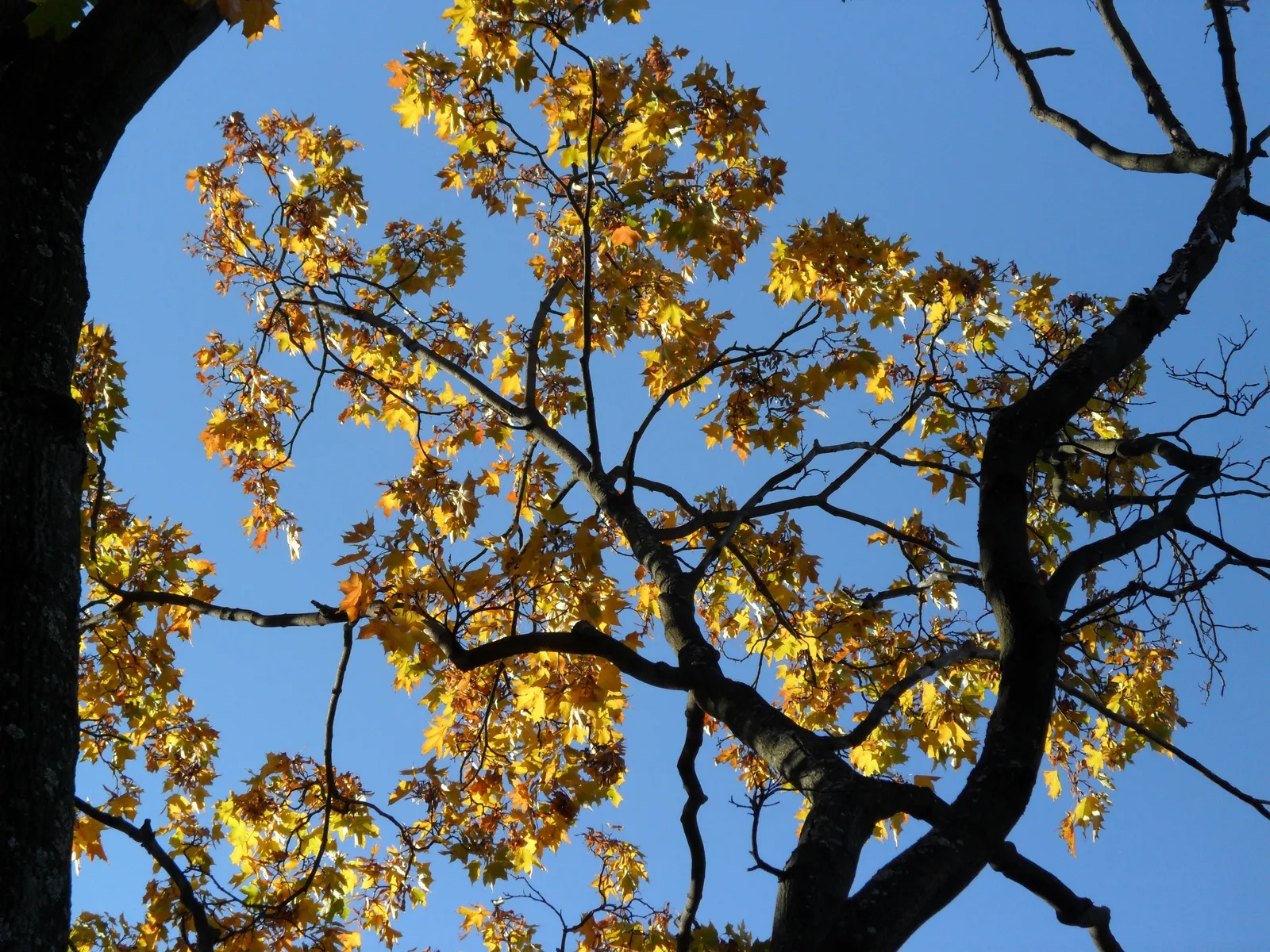 Photo from 9 October 2010