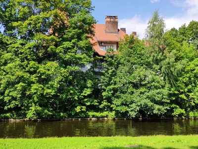 Photo from 10 August 2019