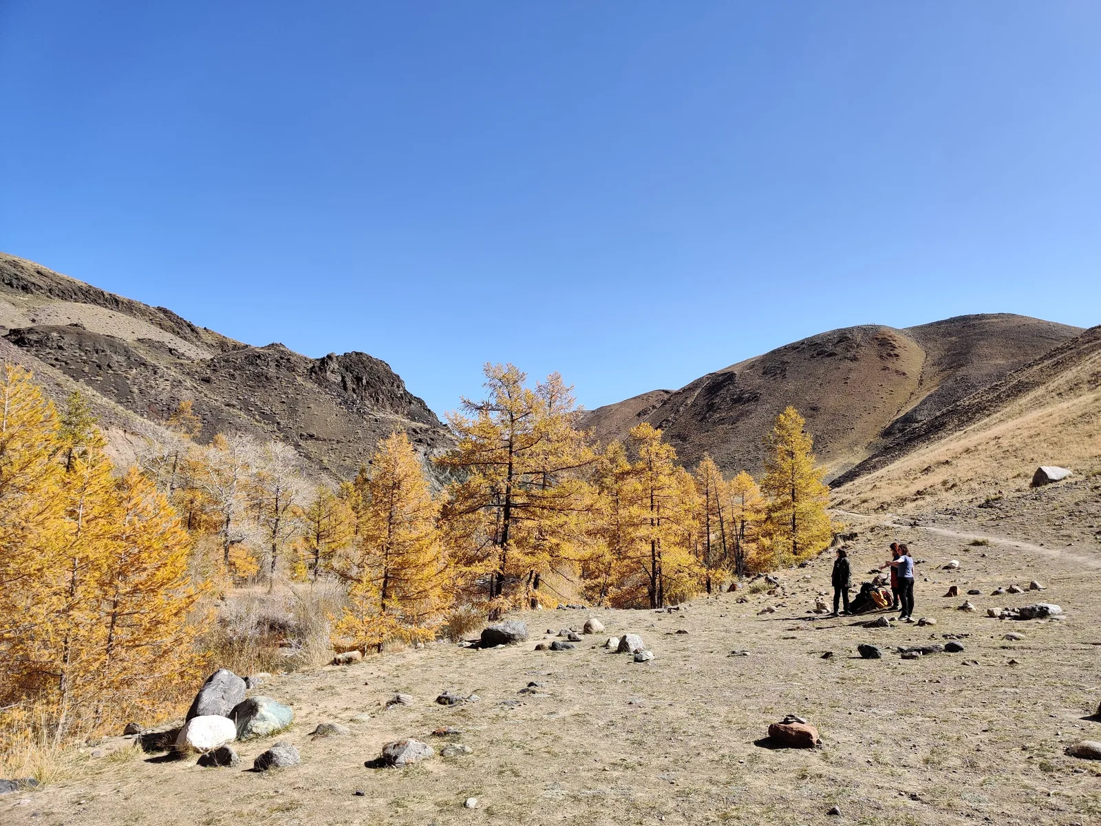 Kosh-Agach, Russia — 20 September 2020