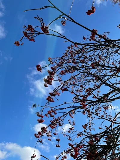 Trëkhgornyy, Russia — 16 October 2021