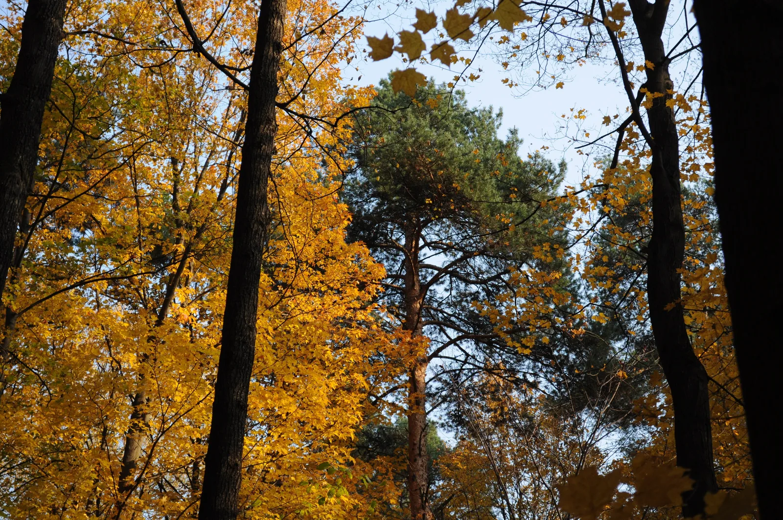 Photo from 8 October 2011