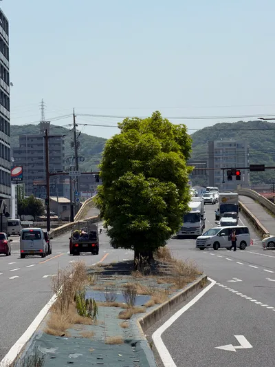 Okayama, Japan — 12 June 2026