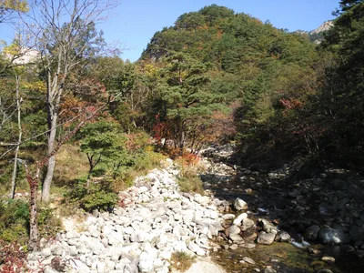 Sokcho, South Korea — 19 October 2016
