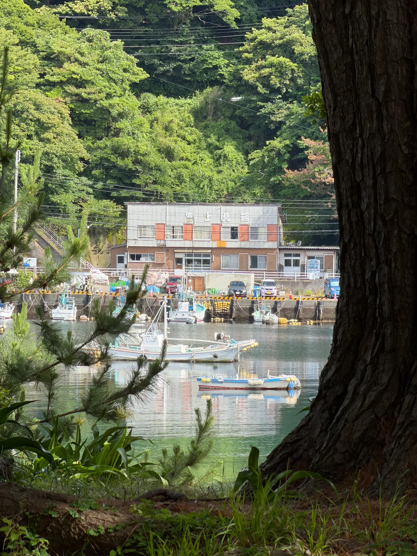 Heda, Japan — 18 June 2026