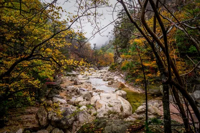 Photo from 21 October 2016