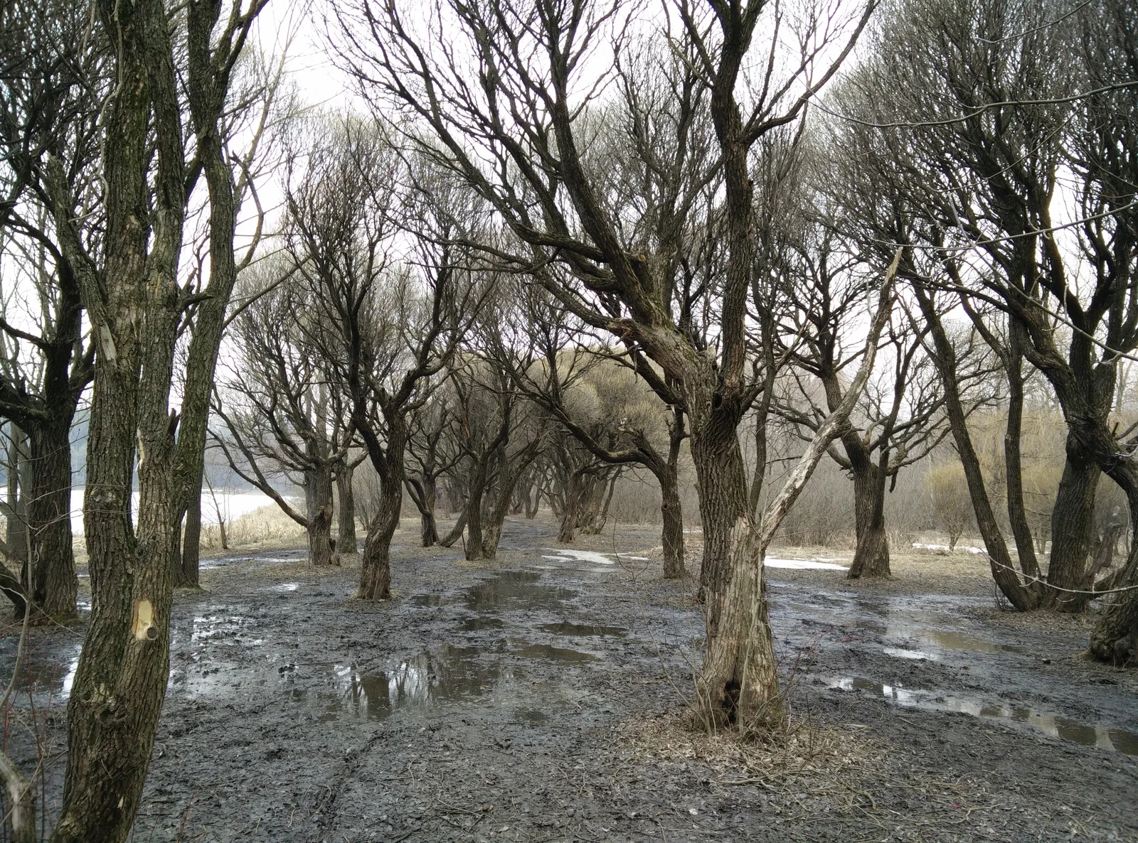 Photo from 21 March 2015