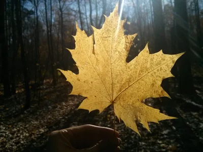 Photo from 19 October 2014