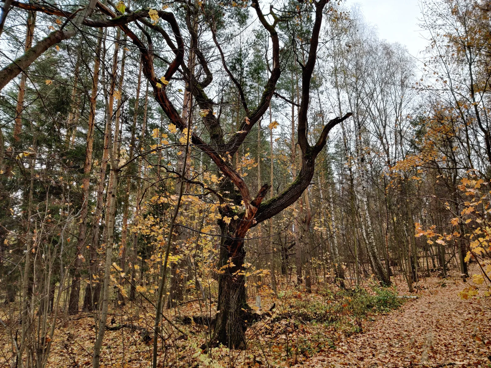 Ozëry, Russia — 12 October 2019