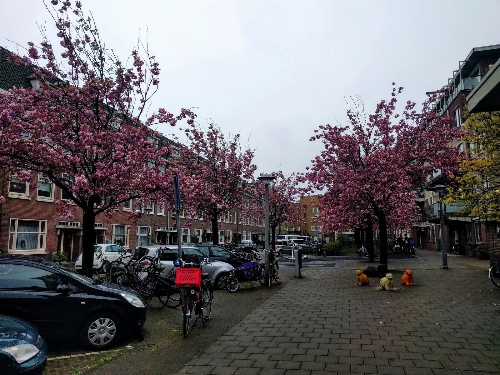 Photo from 25 April 2016