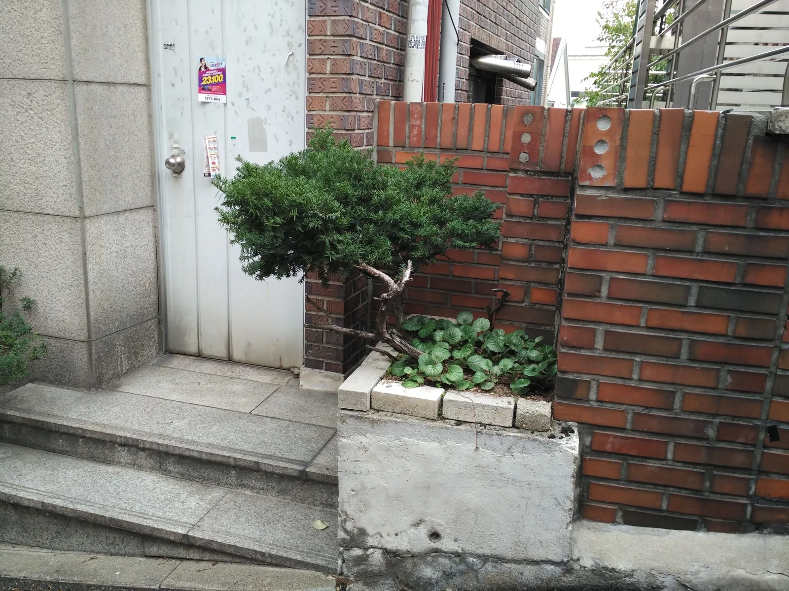 Photo from 15 October 2016