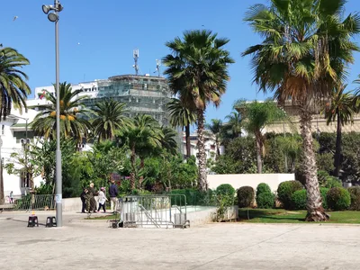 Photo from 17 March 2019