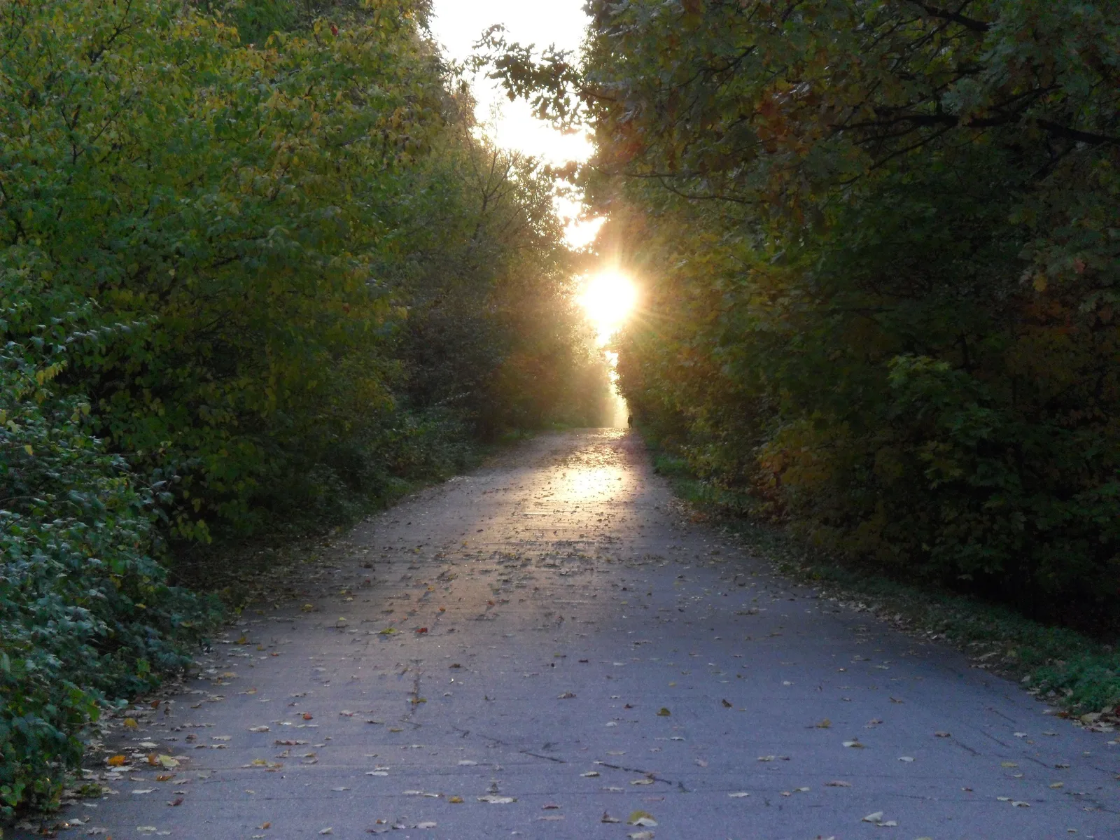 Photo from 11 October 2010