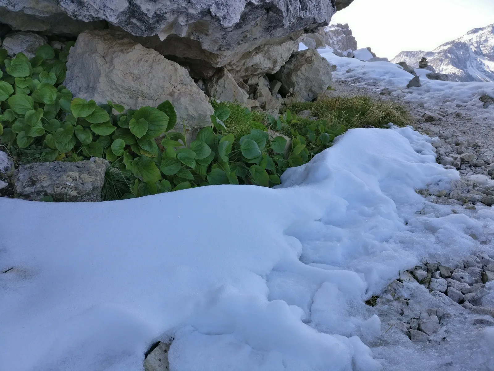 Vigo di Fassa, Italy — 22 September 2017
