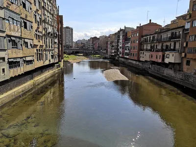 Photo from 11 March 2019