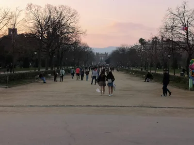 Photo from 10 March 2019