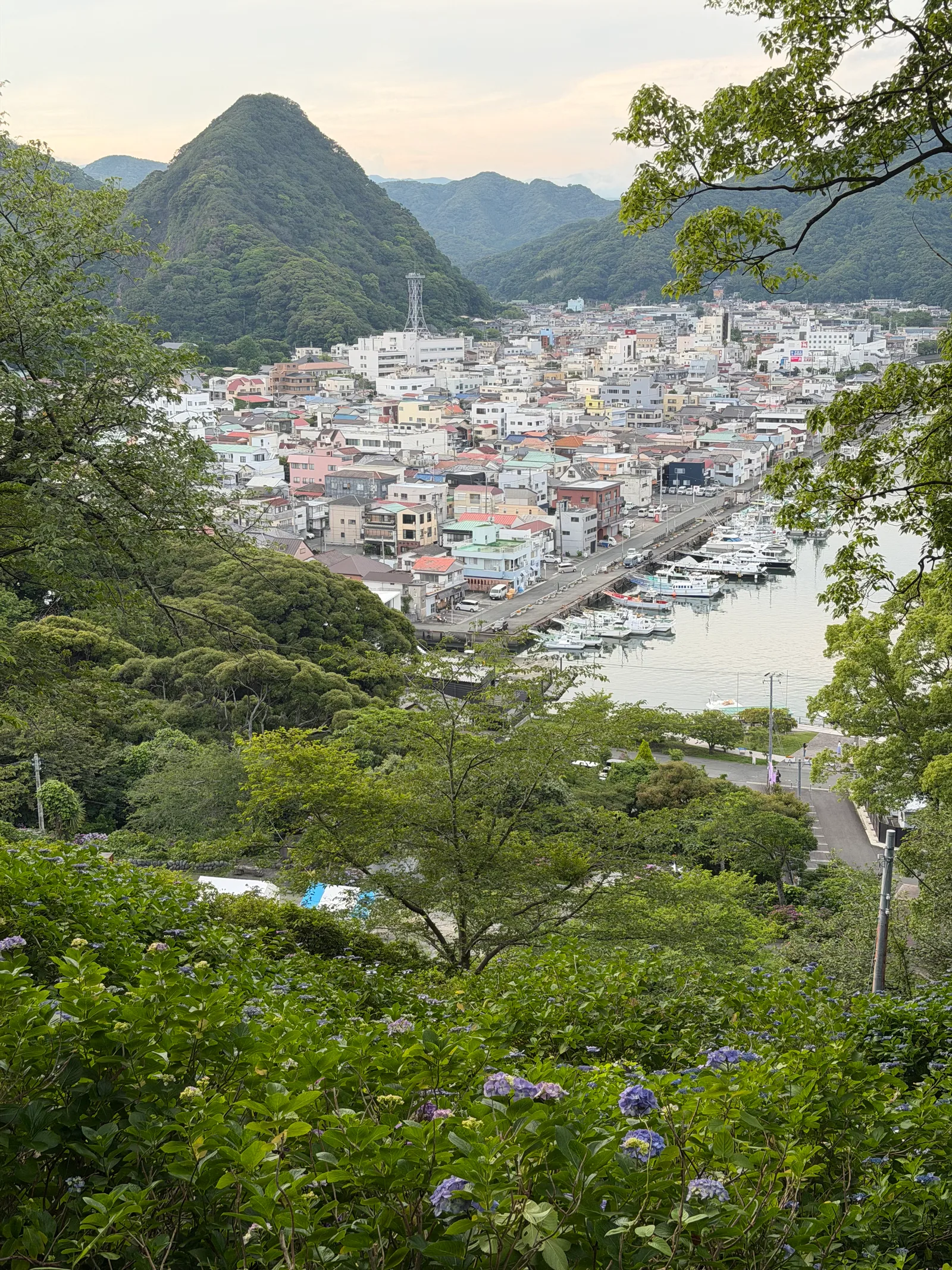 Shimoda, Japan — 19 June 2026