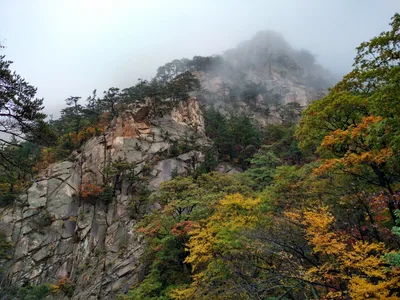 Sokcho, South Korea — 21 October 2016