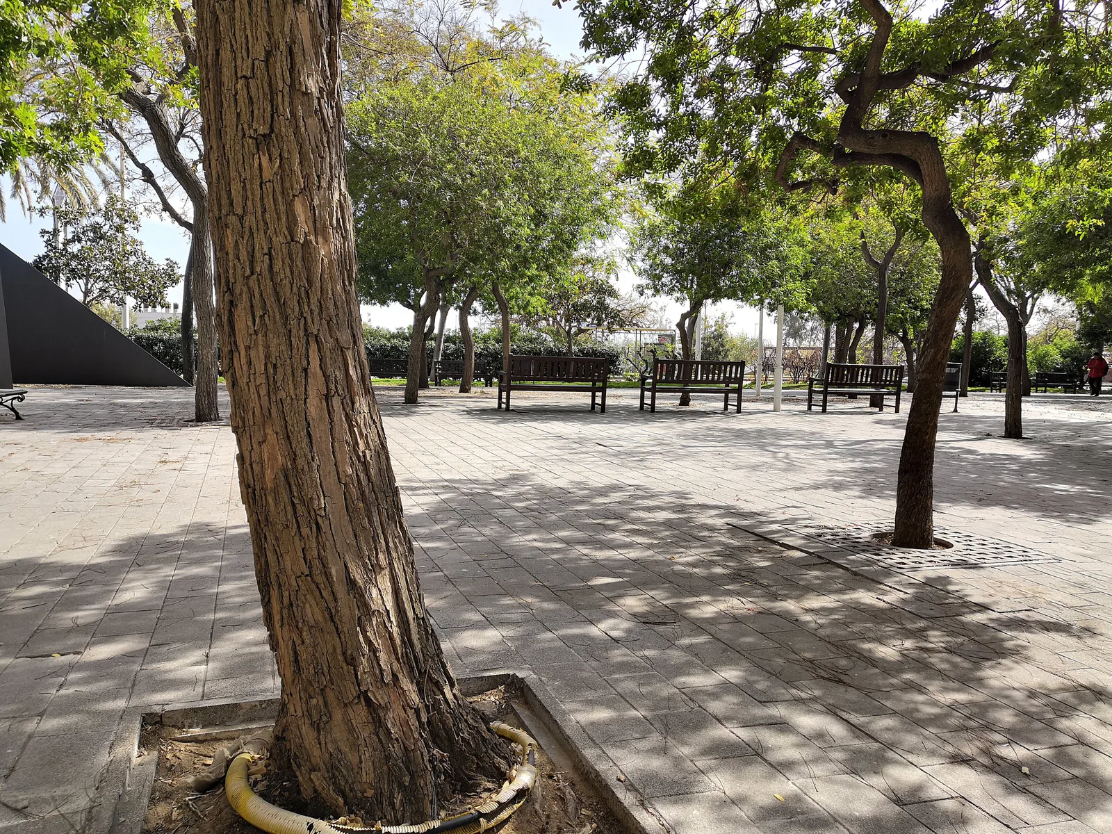 Photo from 12 March 2019