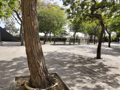 Photo from 12 March 2019