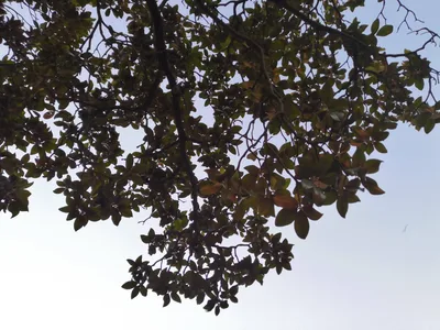 Photo from 19 July 2019