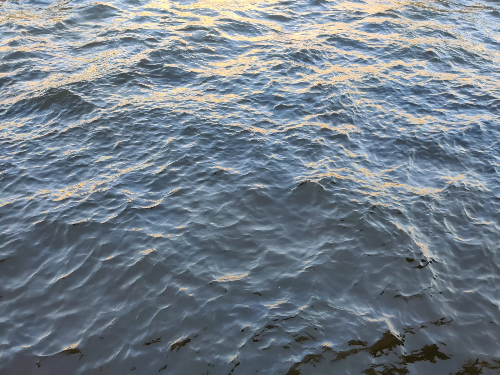 Saint Petersburg, Russia — 18 August 2019