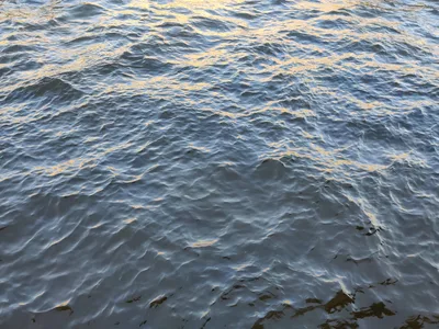 Saint Petersburg, Russia — 18 August 2019