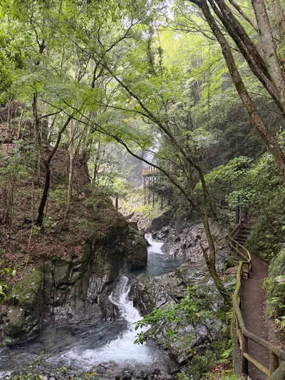 Kawazu-ikadaba, Japan — 20 June 2026