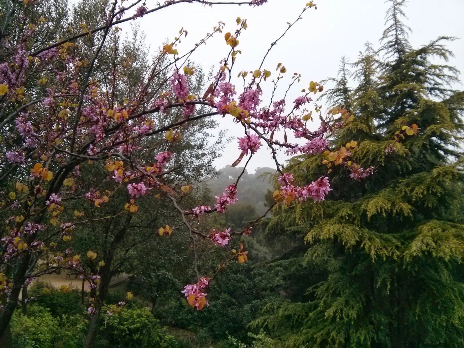 Photo from 30 March 2014