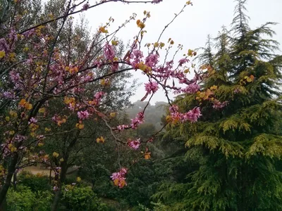 Photo from 30 March 2014
