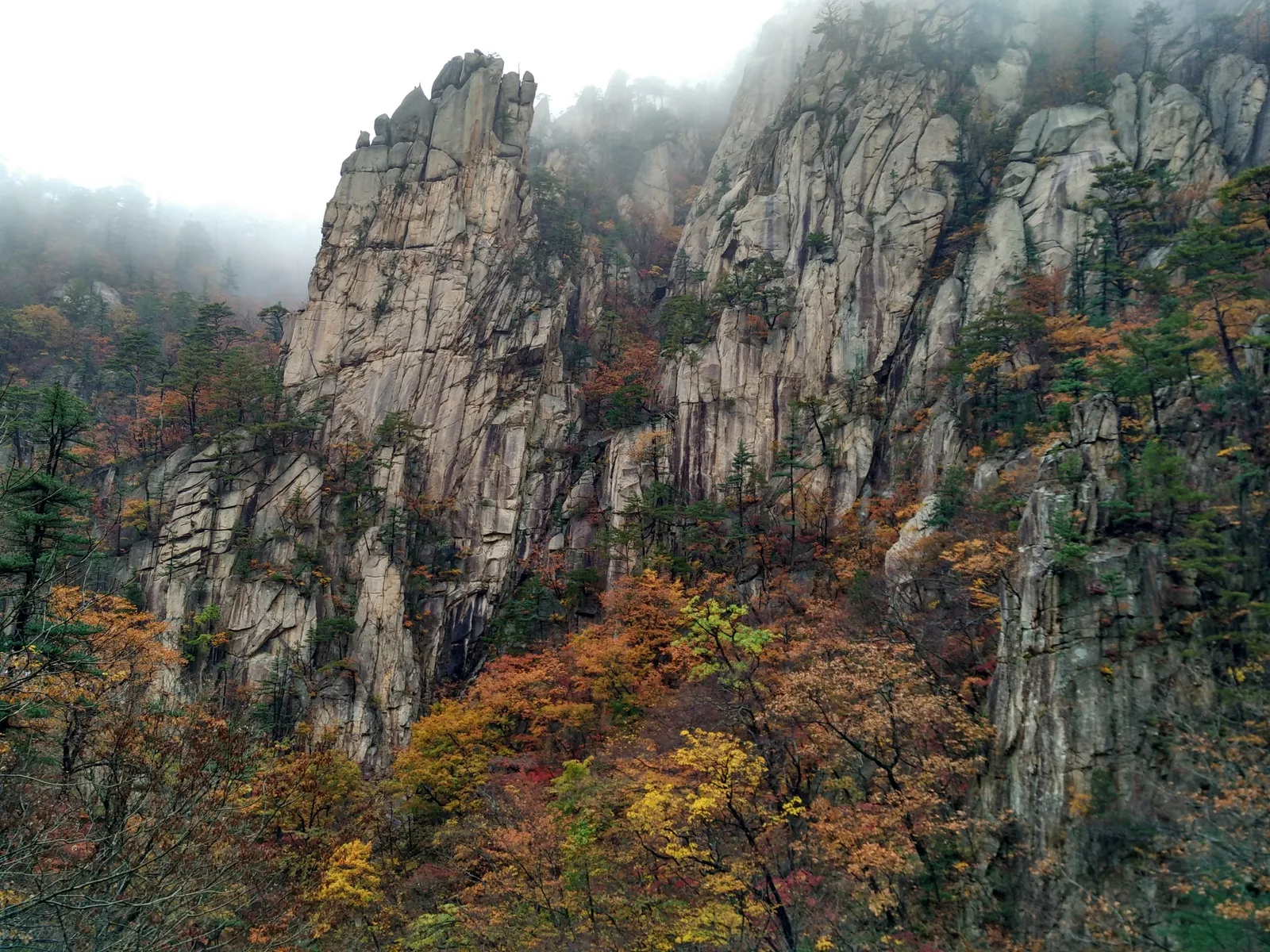 Photo from 21 October 2016