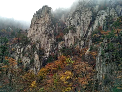 Photo from 21 October 2016