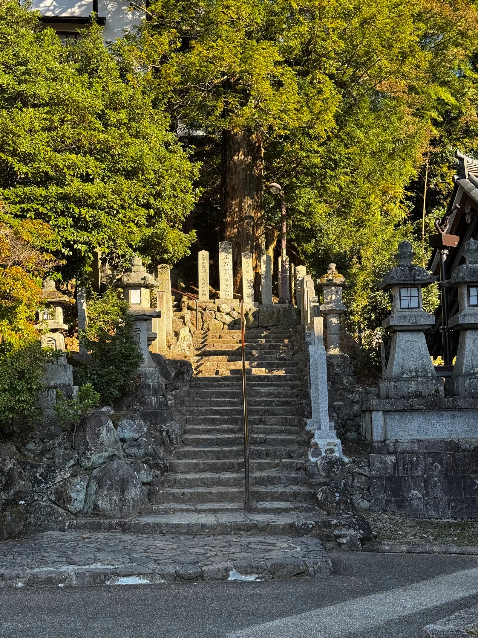 Nara-shi, Japan — 25 November 2024