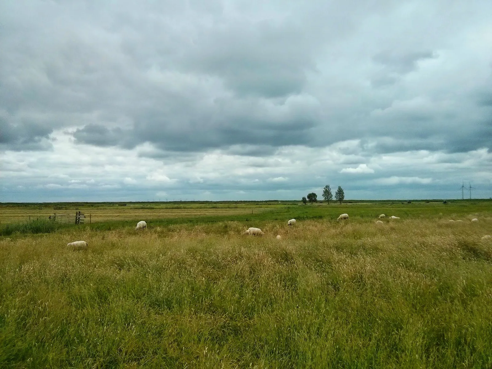 Photo from 16 June 2014