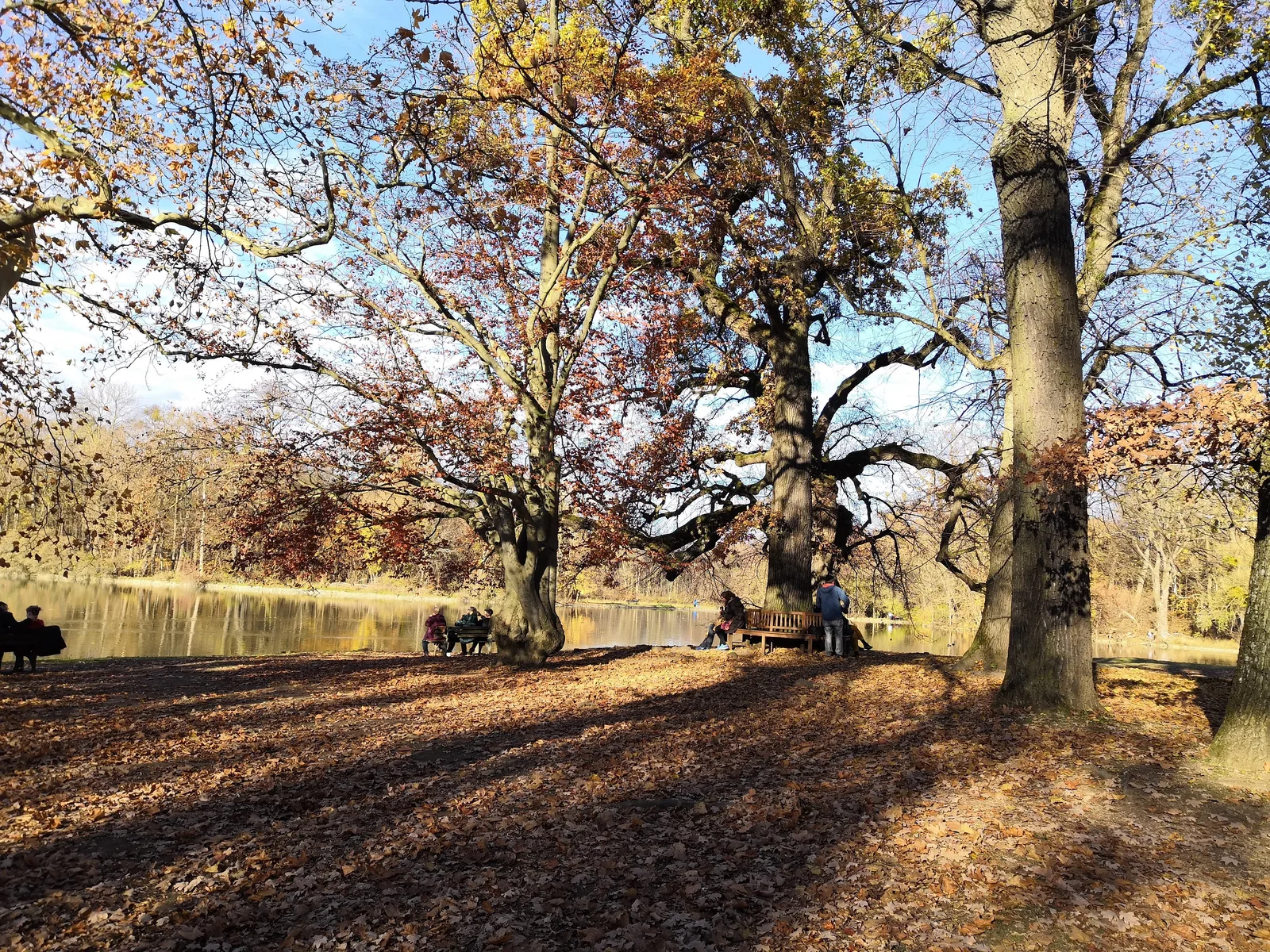 Pasing, Germany — 11 November 2018