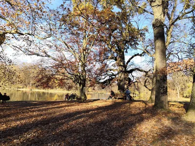 Pasing, Germany — 11 November 2018