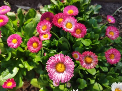 Photo from 14 March 2019