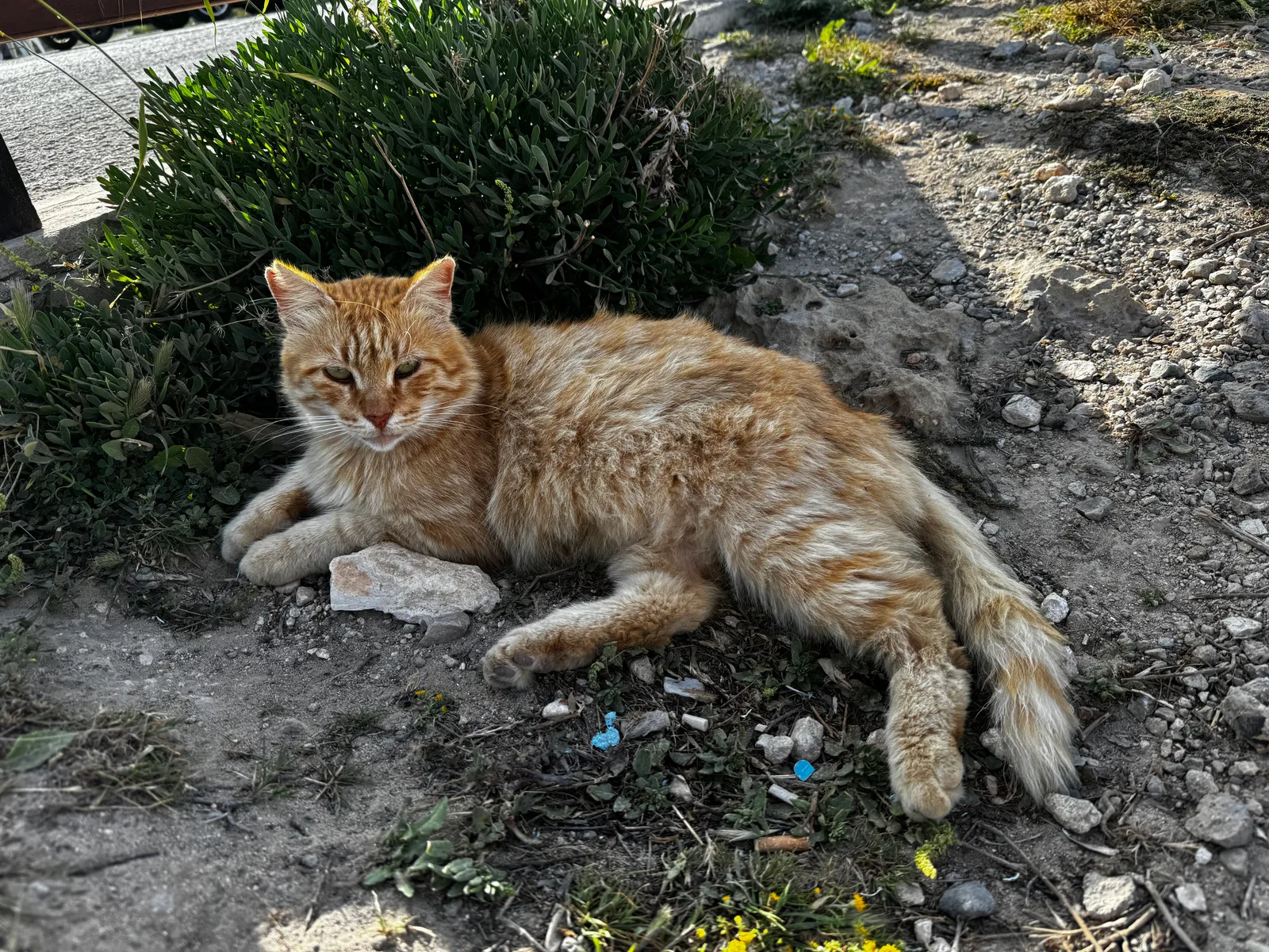 Protaras, Cyprus — 30 March 2024