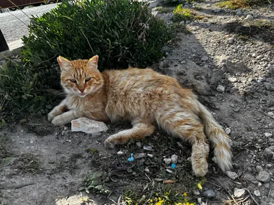 Protaras, Cyprus — 30 March 2024