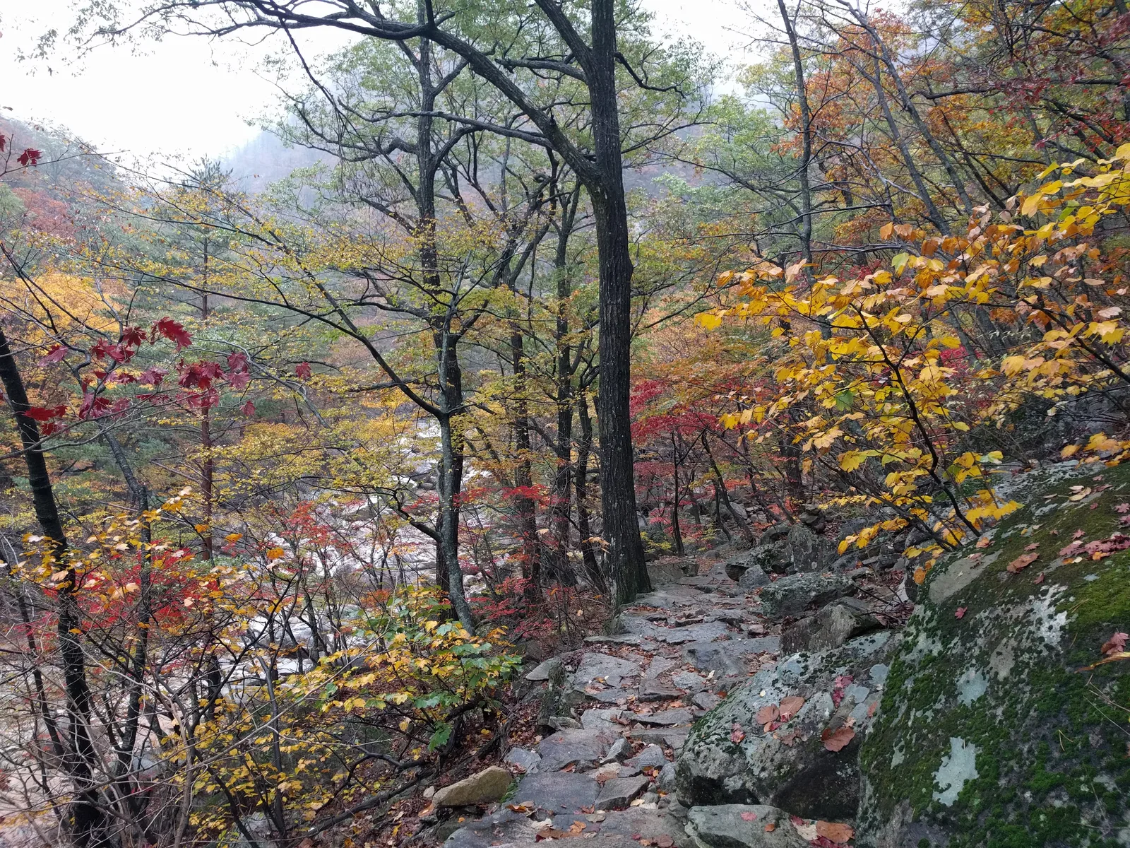 Sokcho, South Korea — 21 October 2016