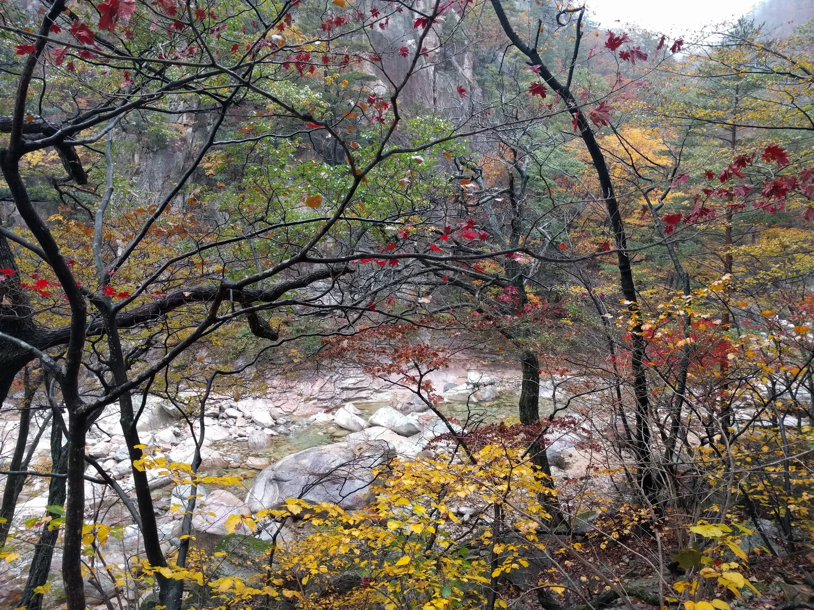 Sokcho, South Korea — 21 October 2016