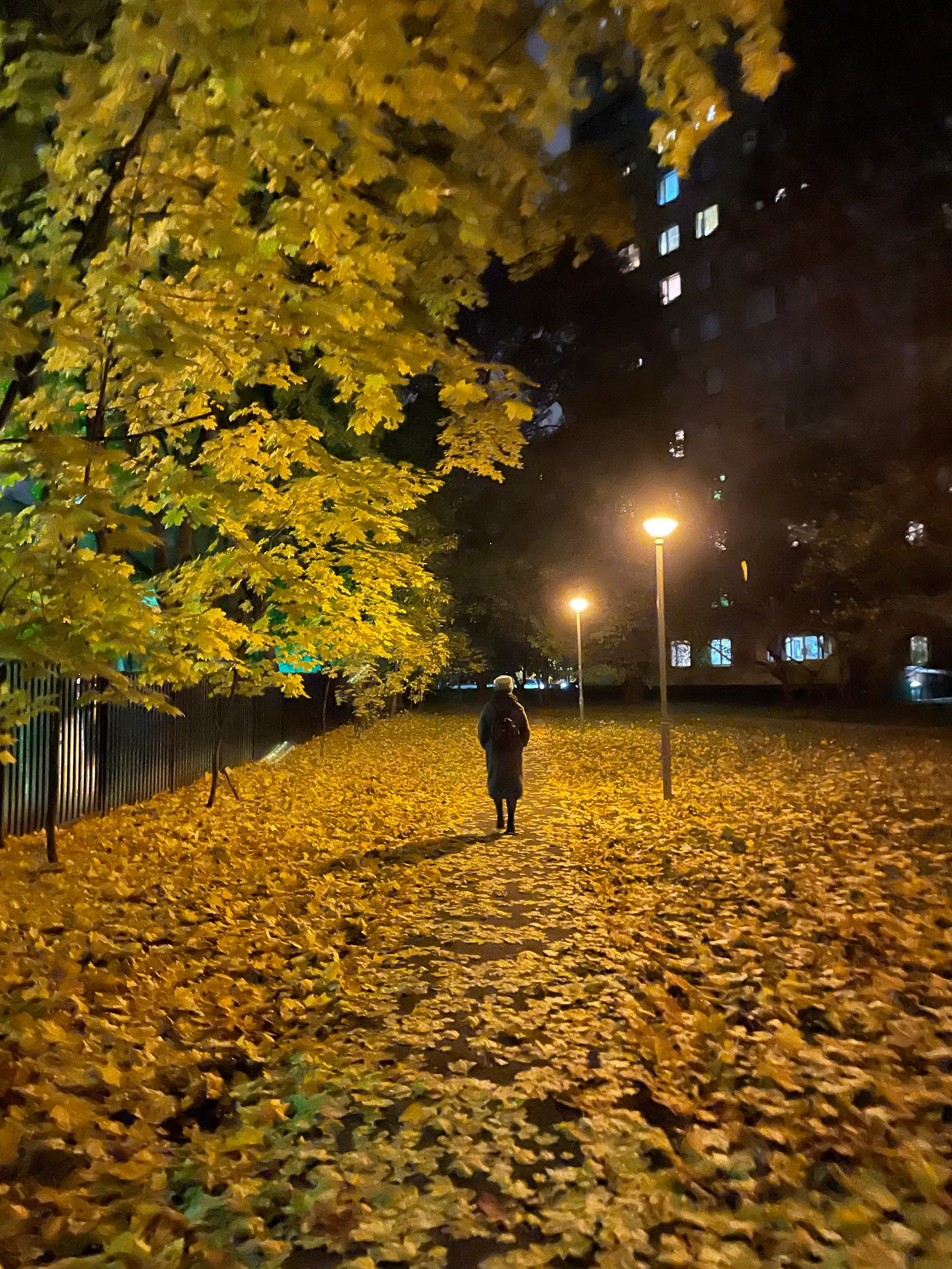Golovinskiy, Russia — 4 October 2021