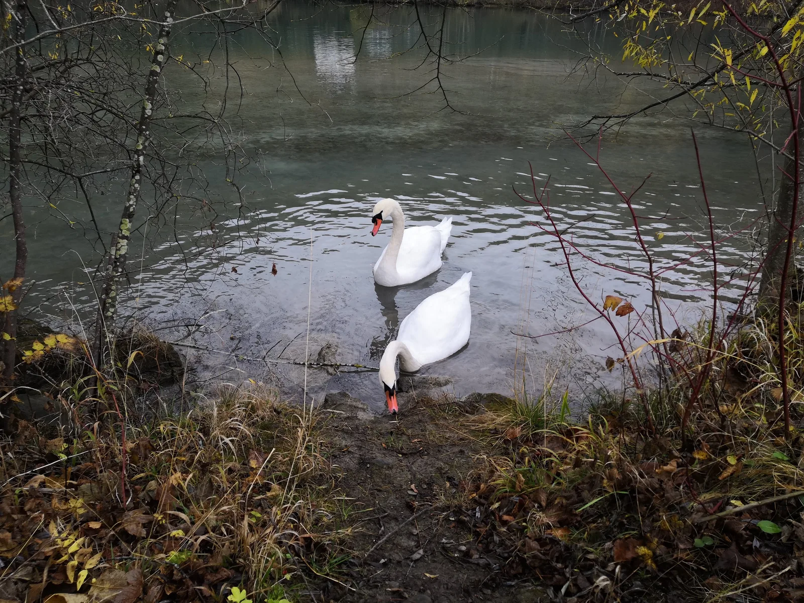 Füssen, Germany — 8 November 2018